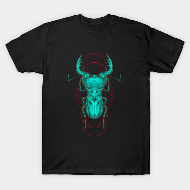 Cyclommatus Beetle T-Shirt by Akirasanz